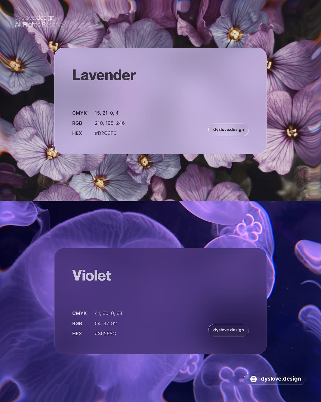Color Concept