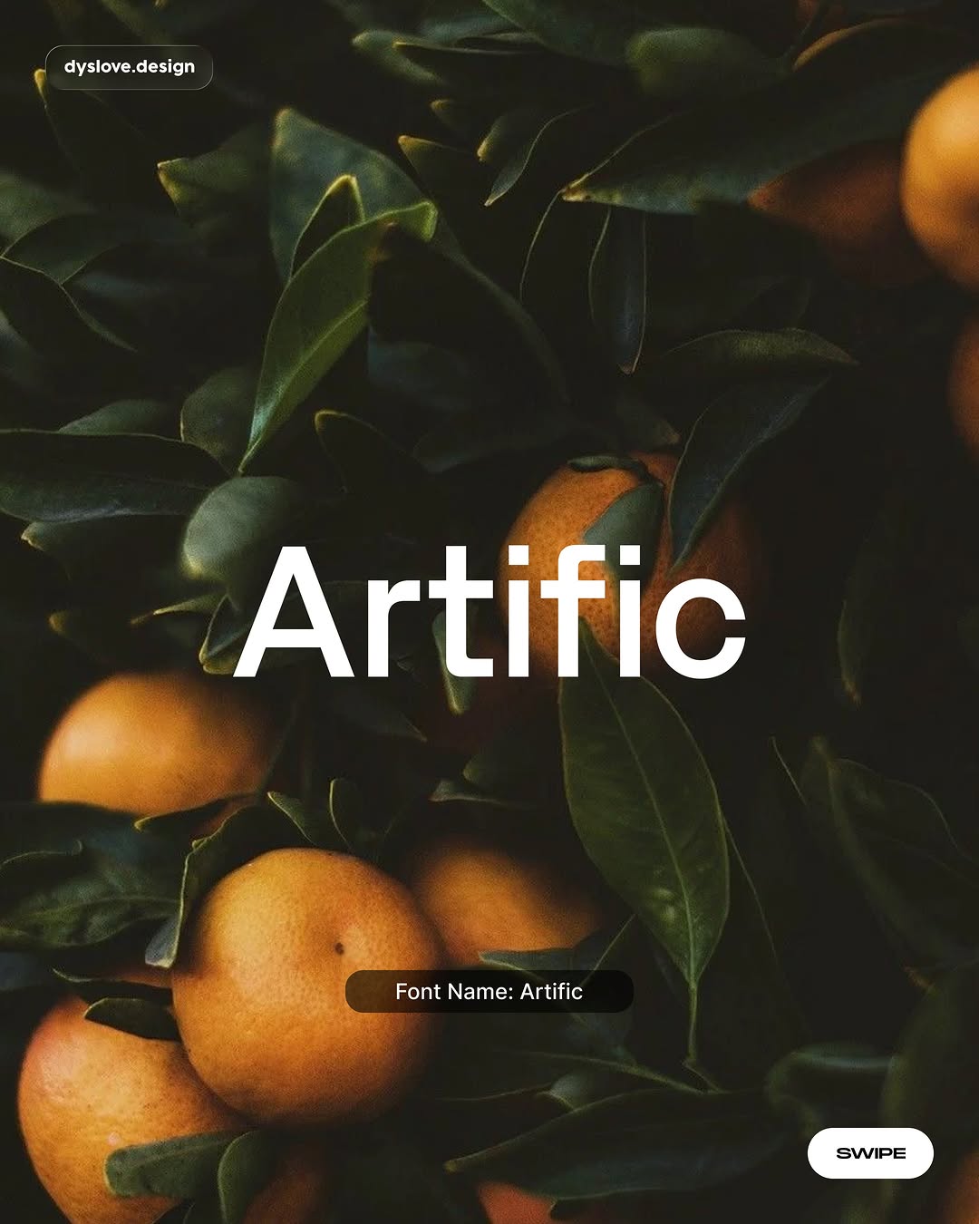 Font Concept 10